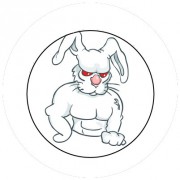 Badge 25mm Lapin