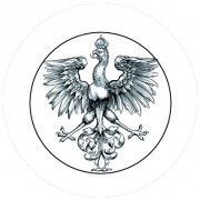 Badge 25mm Phoenix