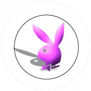 Badge 25mm Playboy