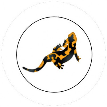 BADGESAGOGO.FR - Badge 25mm Salamandre