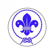 Badge 25mm scout