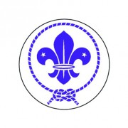 Badge 25mm scout