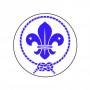 Badge 25mm scout