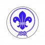 Badge 25mm scout