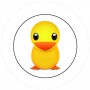 BADGESAGOGO.FR - Badge 25mm Canard