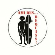 Magnet ami des requins 25 mm