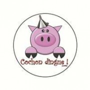 Magnet cochon dingue 25 mm