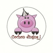 Badge cochon dingue 38 mm